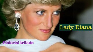 Lady Diana pictorial tribute