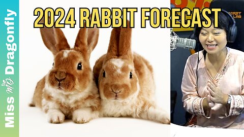 2024 Year Of The Dragon Zodiac Forecast | RABBIT