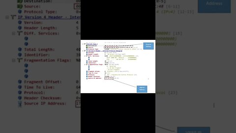 What are these Mac addresses; Chipped NPCs, Nano bots, or Unseen Entities? Bluetooth Challenge 📡