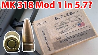 5.7x28mm, 35gr, SMK318 Mod 1, 80 Teeth Ammo