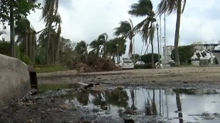 Preparing for king tides