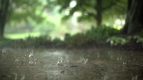 Beautiful rain nature beauty video