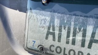 What's Driving You Crazy? License plate covers