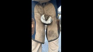 Satisfying sole trim on horse!!