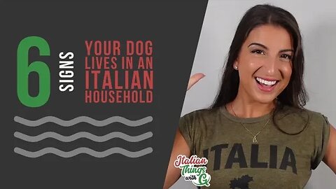 Top 6 signs your dog lives in an Italian household