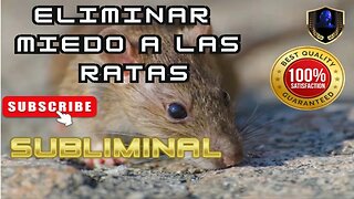 Eliminar Miedo a las Ratas Musofobia Subliminal 2023