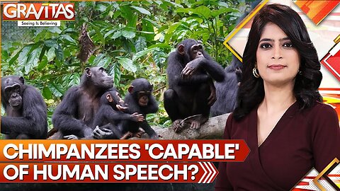 Gravitas: Study finds Chimpanzees maybe able to speak like humans | World News | WION | N-Now