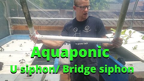 Simple u siphon/bridge siphon example (Aquaponic Siphon)