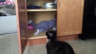 Hilarious Adventures Of A Baby And A Cat