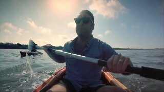 Local kayak tour company rebounding with the help of locals, the beauty of wild Florida | The Rebound Tampa Bay