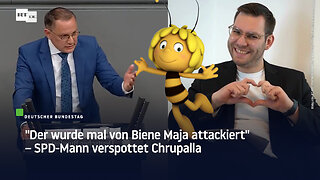 "Der wurde mal von Biene Maja attackiert" – SPD-Mann verspottet Chrupalla