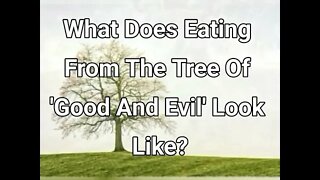 Morning Musings # 334 - What Does Eating From The Tree Of Knowing Good And Evil Look Like?