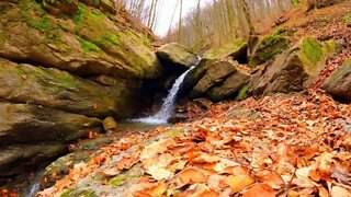 1 Hour Autumn Forest Waterfall Sounds | Beautiful Nature Ambience | 4K UHD