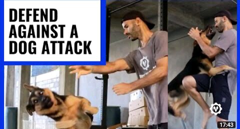 How to defend dog attack