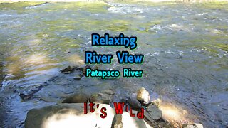 Relaxing River View