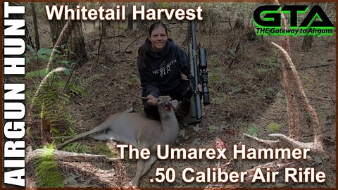 AA’s Umarex Hammer Harvests its First White Tail Deer - Gateway to Airguns Airgun Hunt
