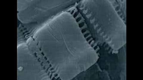 Why Self Assembling Nano Circuitry Sucks