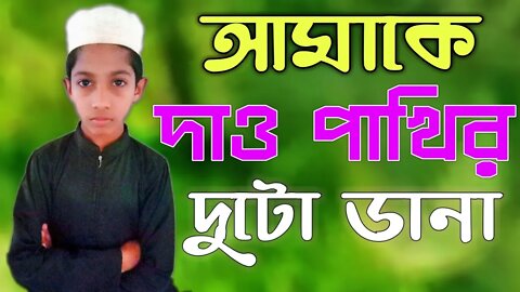 Amake Dao Pakhir Duto Dana || Bangla Islamic Song || Holy Tune @UEdu @Holy Tune
