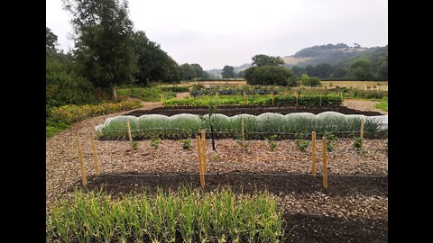 West Bovey Permaculture Project - a stroll around the garden!