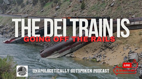 THE DEI TRAIN IS GOING OFF THE RAILS