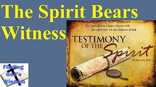 The Spirit Bears Witness