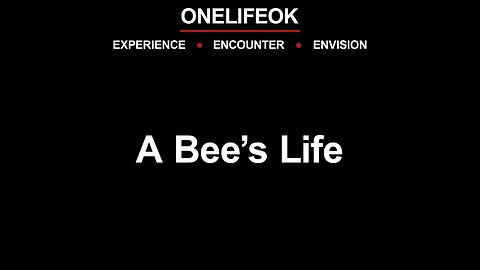 A Bee’s Life - Wed 1/18/23