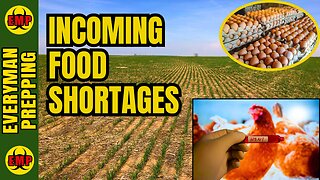 ⚡ALERT🐔: Incoming Food Shortages - Wheat Prices Rising - Bird Flu Ramping Up - Stock Up Now!