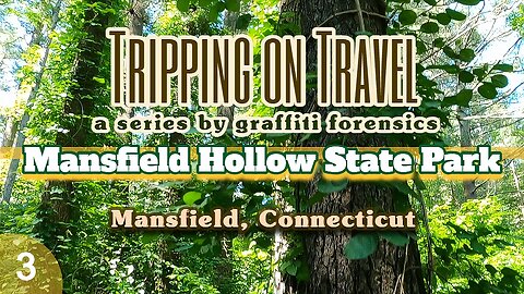 Tripping on Travel: Mansfield Hollow State Park, part 3, Mansfield, CT