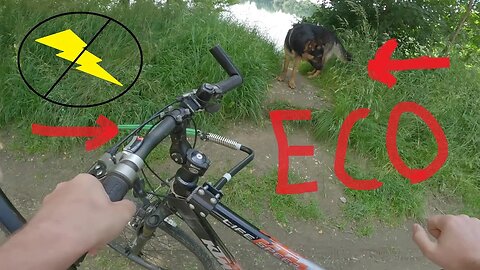Join Me and My Dog Rex on an awesome Biking Adventure let's ride!