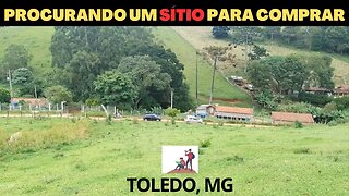 1. SÍTIO DO ZERO: CANAL SECUNDÁRIO, LINK NA DESCRIÇÃO #silvanafilgueirahistoriando