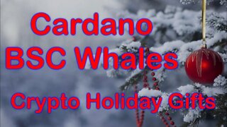 BSC Whales Buy Cardano Crypto Gifts For The Holidays