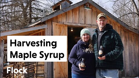 Making MAPLE SYRUP & Running a Maple Syrup Business — Ep. 161