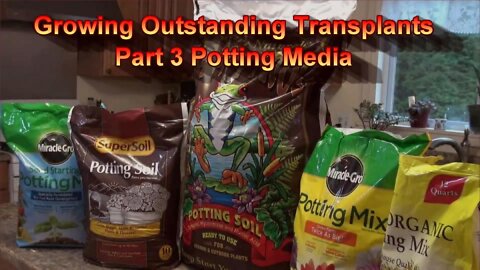 Growing Outstanding Transplants Part 3