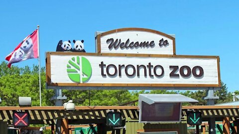 The Toronto Zoo Is Hosting A Pop-Up Vaccine Clinic Today & Plenty Of Spots Are Available