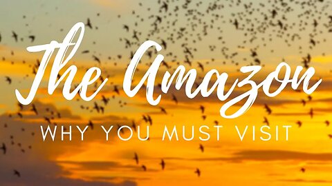 Why you NEED to visit the COLOMBIAN AMAZON (Amazonas Colombia)
