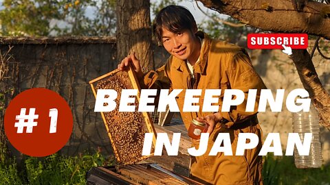 Natural beekeeping in Japan