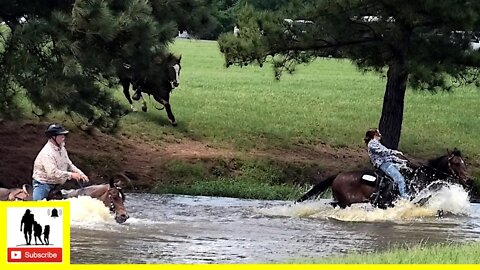 Relaxing Pond Spotting - The 1836 Chuckwagon Races 2022 | Saturday