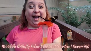 We Visit the Butterfly Palace & Rainforest Adventure | Branson MO