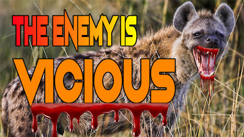 The Enemy Is Vicious