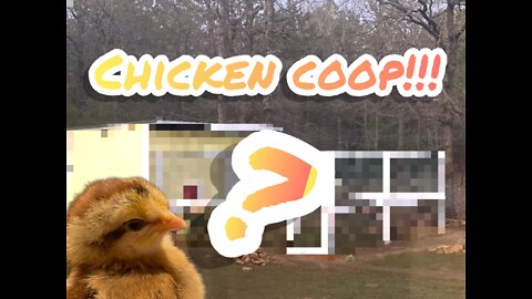 Chicken coop!!!🐔