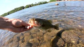 Bass Fishing in the River