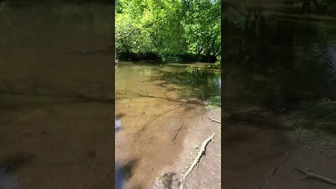 doggo by the river #doggo #river #beautiful