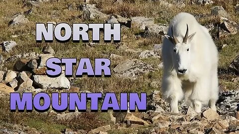 North Star Mountain - Hoosier Pass