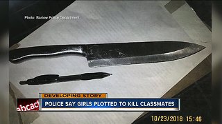 2 girls planned to kill classmates, drink blood