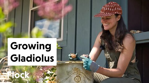 Planting GLADIOLI and Other Plants Around Meadow Home — Ep. 176