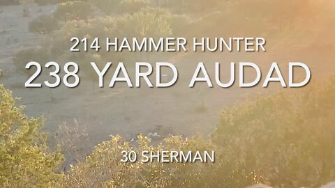 Hammer Trail Audad Hunt
