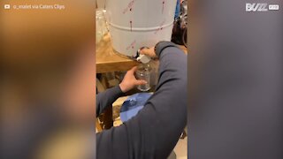 Man is surprised by funny honey spill