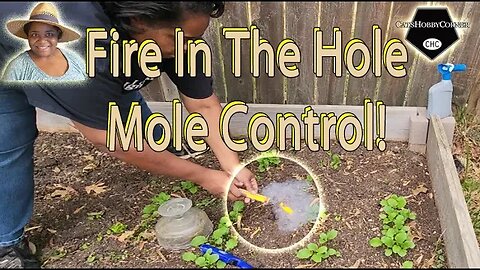 More #mole Control - #catshobbycorner