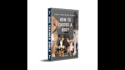 How to Choose A Dog?Dog Adoption.
