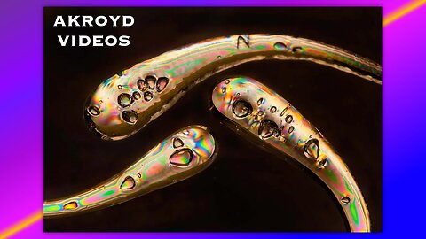 NINE INCH NAILS - HEAD LIKE A HOLE - BY AKROYD VIDEOS